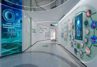 潜江鱼翅海鲜干货批发