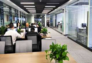 种植豆角用木醋液可不可以