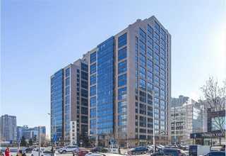 长宁区办公室盆景绿植租赁咨询