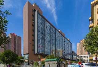 无锡正规绿植租摆报价表